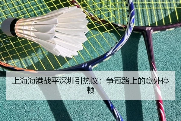 shang-hai-hai-gang-zhan-ping-shen-zhen-yin-re-yi-zheng-guan-lu-shang-de-yi-wai-ting-dun-2-276.jpg